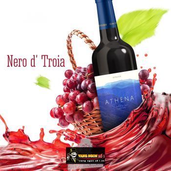 Vang Ý Athena Nero Di Troia Puglia Mitologia Hảo hạng bn1